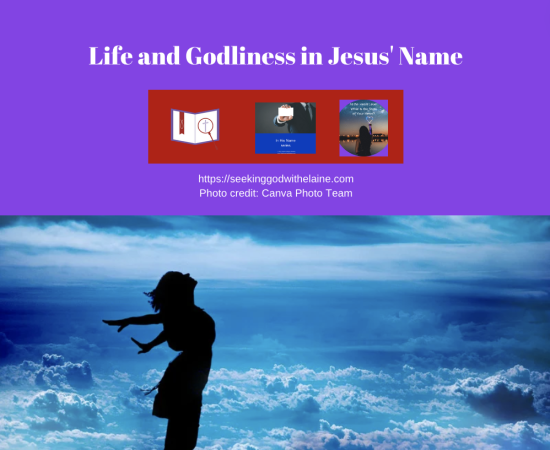 life-and-godliness-in-jesus-nameFB