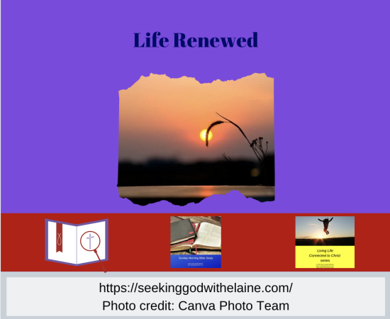 life-renewedFB