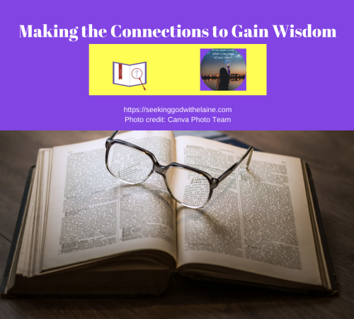 making-the-connections-to-gain-wisdomFB