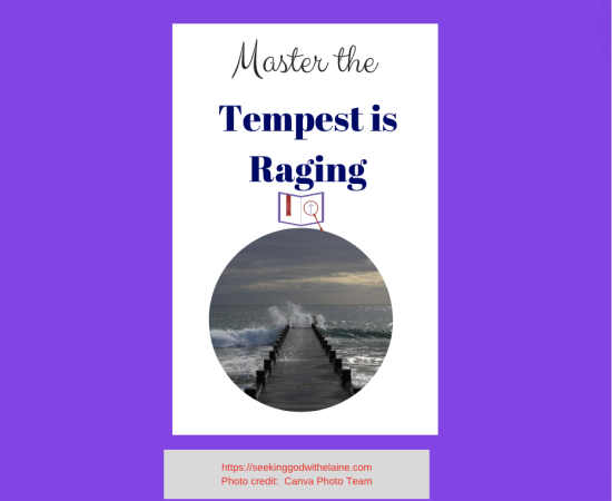 master-the-tempest-is-raging-2