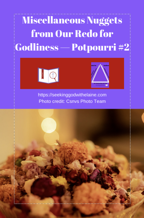 miscellaneous-nuggets-from-our-redo-for-godliness-potpourri-#2Pin