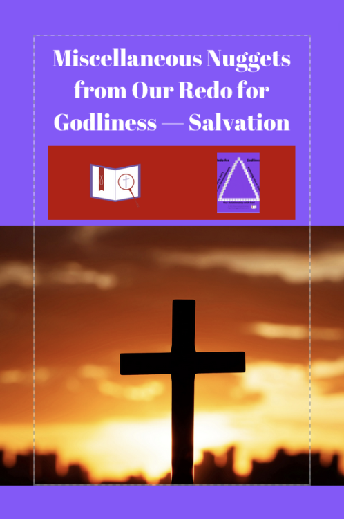 miscellaneous-nuggets-from-our-redo-for-godliness-salvationPin