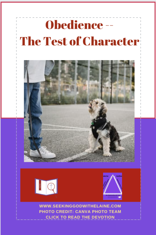 obedience-the-test-of-characterPin