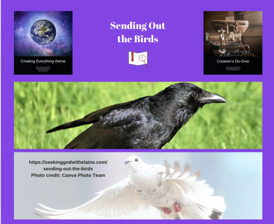 sending-out-the-birds