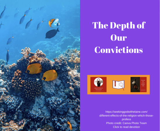 the-depth-of-our-convictionsFB