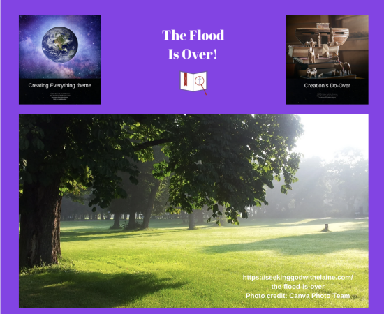 the-flood-is-over