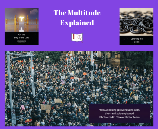 the-multitude-explained