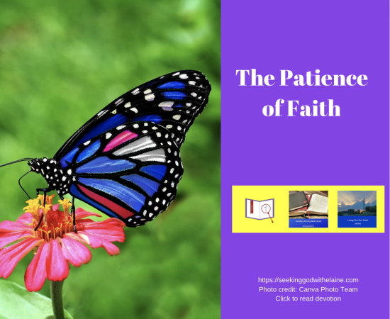 the-patience-of-faithFB