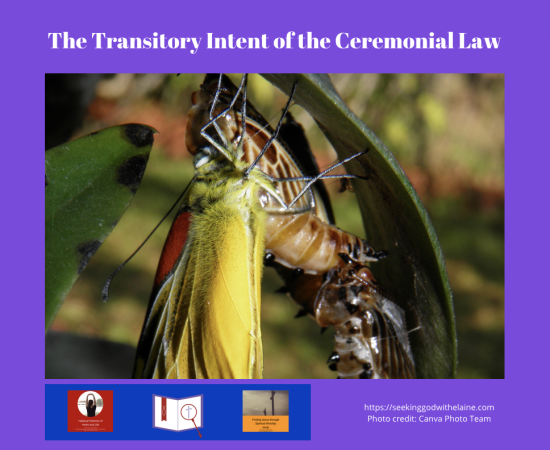 the-transitory-intent-of-the-ceremonial-lawFB