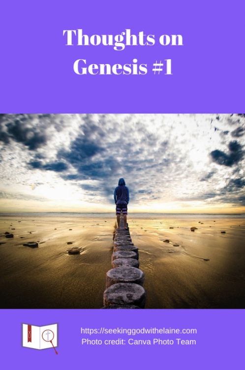 thoughts-on-genesis-1Pin