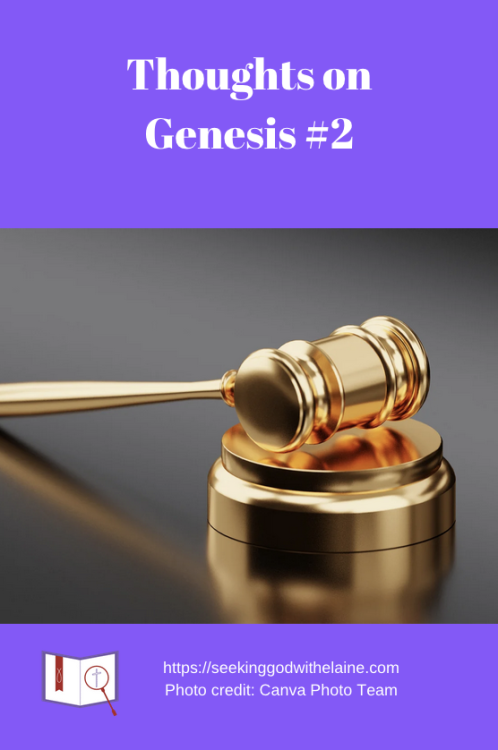 thoughts-on-genesis-2Pin