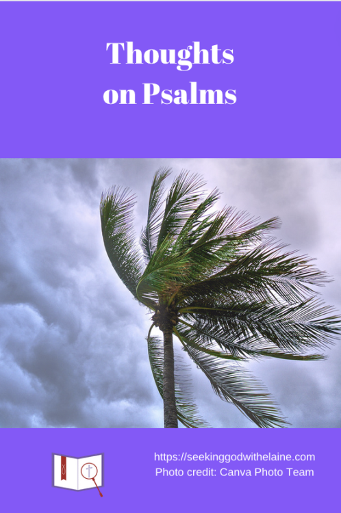 thoughts-on-psalmsPin