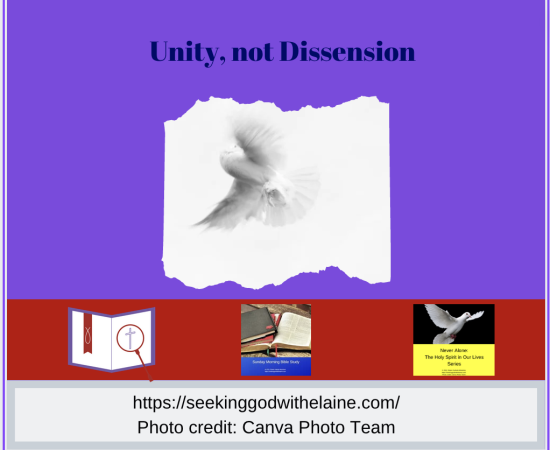 unity-not-dissensionFB