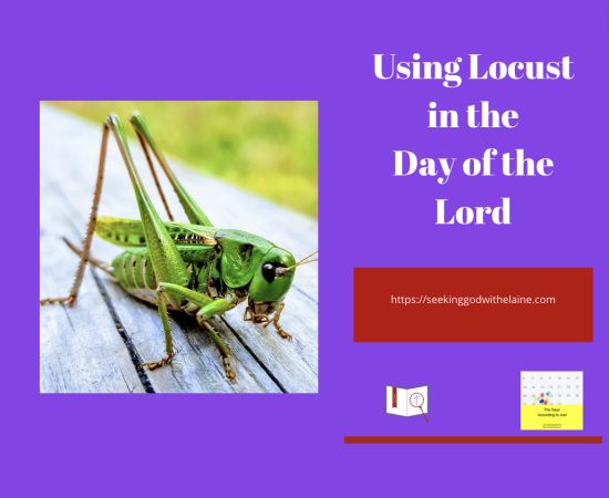 using-locust-in-the-day-of-the-lordFB