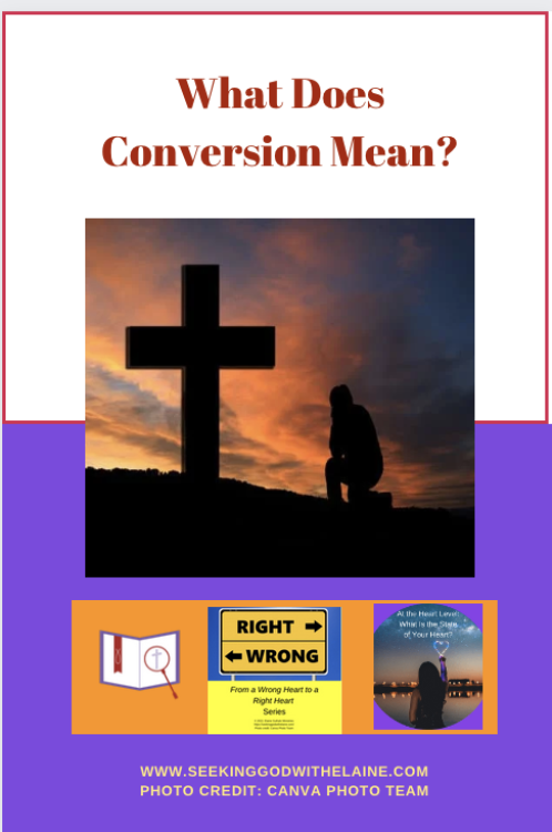 what-does-conversion-meanPin