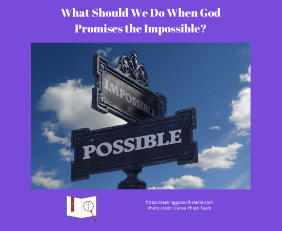 what-should-we-do-when-god-promises-the-impossibleFB